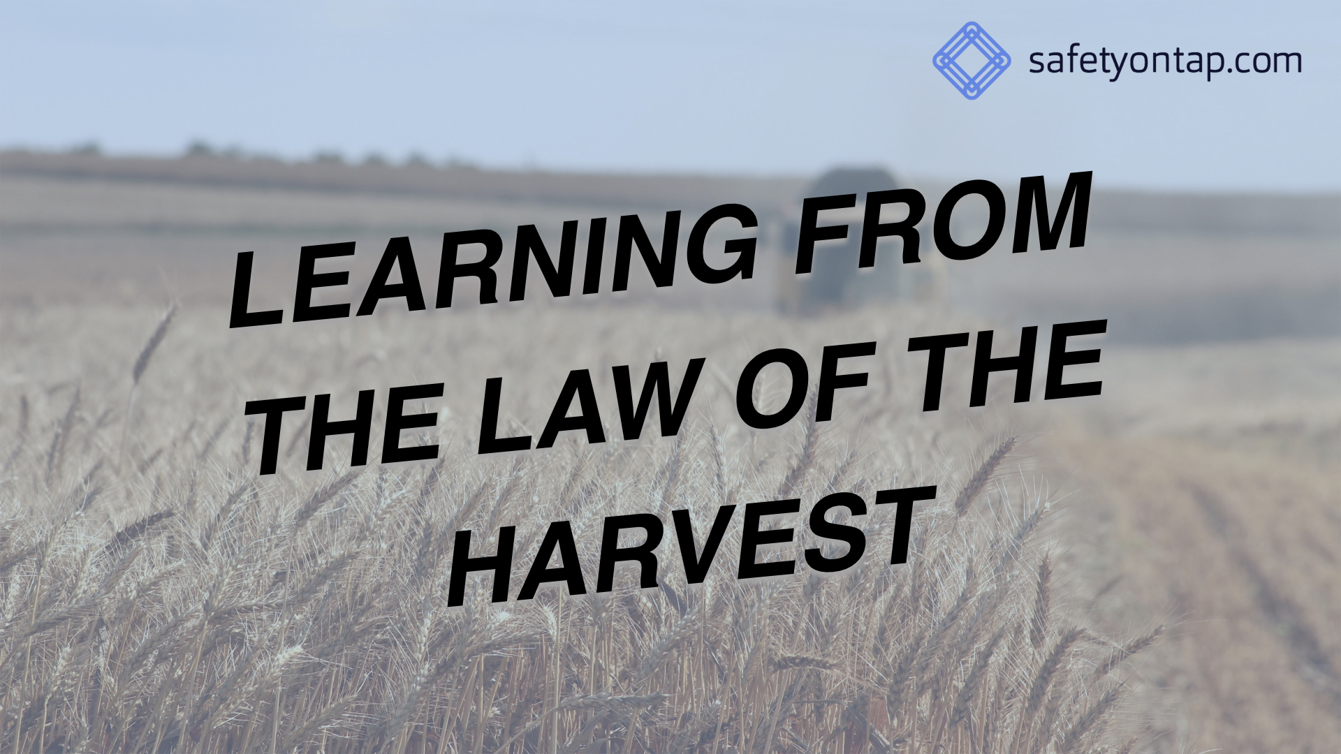Ep063: Learning from the Law of the Harvest